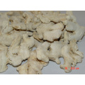 hot sale natural dehydrated ginger